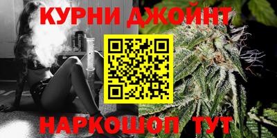 сатива Краснокаменск