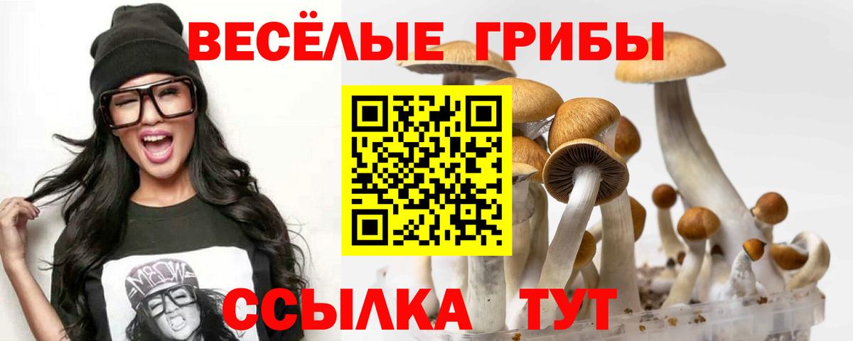 Галлюциногенные грибы мухоморы Сосновый Бор